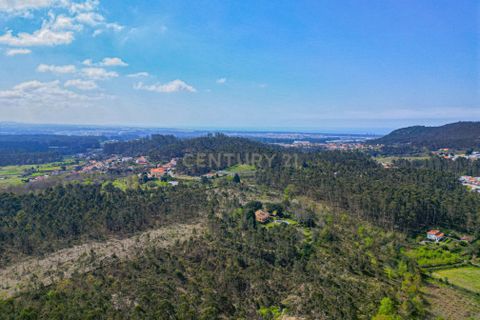 Helårsgrund i Paderne, Faro, Paderne - € 25.000 | Ref: C0257-01339 - foto 10