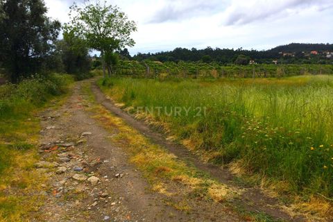 Helårsgrund i Paderne, Faro, Paderne - € 25.000 | Ref: C0257-01339 - foto 11