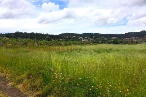 Helårsgrund i Paderne, Faro, Paderne - € 25.000 | Ref: C0257-01339 - foto 12