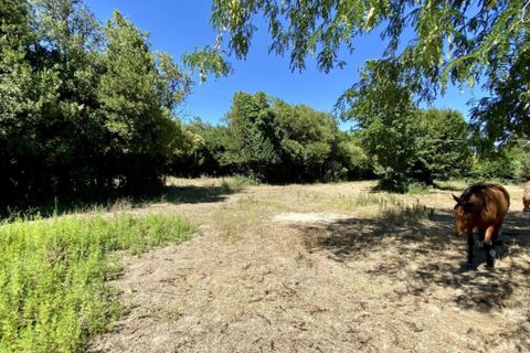 Villa i Tarascon, Bouches-du-Rhone, Tarascon - € 735.000 | Ref: getkey_6288 - foto 6