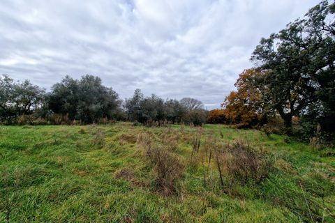 Villa i Amelia, Terni, Amelia - € 160.000 | Ref: PORCHIANO20-1 - foto 6