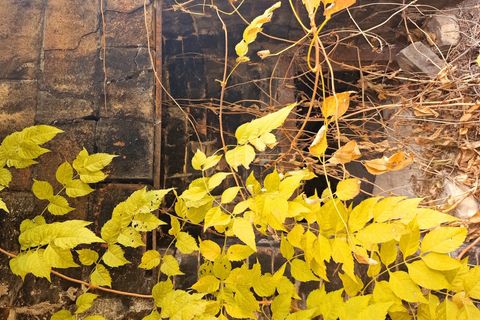 Villa i Amelia, Terni, Amelia - € 160.000 | Ref: PORCHIANO20-1 - foto 14