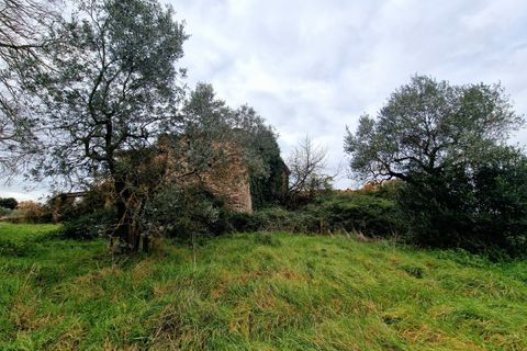 Villa i Amelia, Terni, Amelia - € 160.000 | Ref: PORCHIANO20-1 - foto 26
