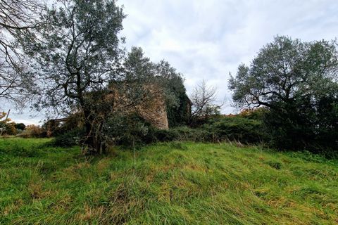 Villa i Amelia, Terni, Amelia - € 160.000 | Ref: PORCHIANO20-1 - foto 28