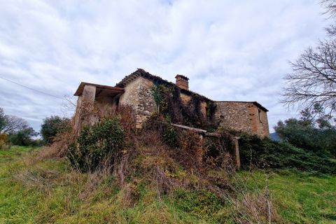Villa i Amelia, Terni, Amelia - € 160.000 | Ref: PORCHIANO20-1 - foto 29