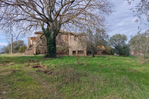 Villa i Amelia, Terni, Amelia - € 160.000 | Ref: PORCHIANO20-1 - foto 31