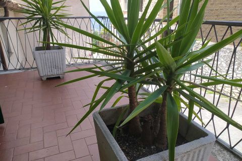 Villa a Guardea, Terni, Guardea - € 154.000 | Ref: Guardea004 - foto 13