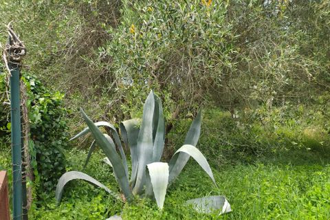 Villa a Guardea, Terni, Guardea - € 154.000 | Ref: Guardea004 - foto 48