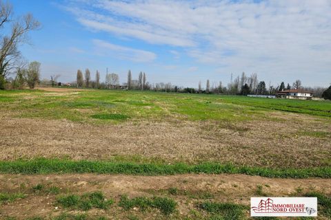 Tomt i Corbetta, Milan, Corbetta - € 38 000 | Ref: TerrenoBat - foto 9