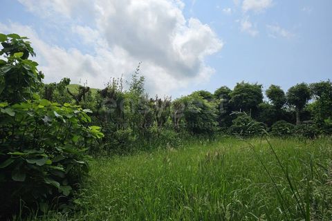 Terra a Rabo de Peixe, Sao Miguel, Rabo de Peixe - € 75.000 | Ref: AZ97493FR - foto 2