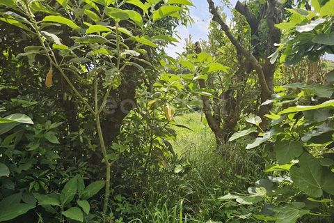 Terra a Rabo de Peixe, Sao Miguel, Rabo de Peixe - € 75.000 | Ref: AZ97493FR - foto 3