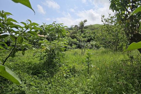 Terra a Rabo de Peixe, Sao Miguel, Rabo de Peixe - € 75.000 | Ref: AZ97493FR - foto 5
