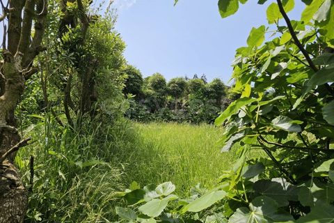 Terra a Rabo de Peixe, Sao Miguel, Rabo de Peixe - € 75.000 | Ref: AZ97493FR - foto 6