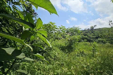 Terra a Rabo de Peixe, Sao Miguel, Rabo de Peixe - € 75.000 | Ref: AZ97493FR - foto 8