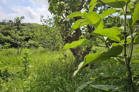 Terra a Rabo de Peixe, Sao Miguel, Rabo de Peixe - € 75.000 | Ref: AZ97493FR - foto 9