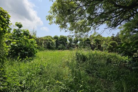 Terra a Rabo de Peixe, Sao Miguel, Rabo de Peixe - € 75.000 | Ref: AZ97493FR - foto 12