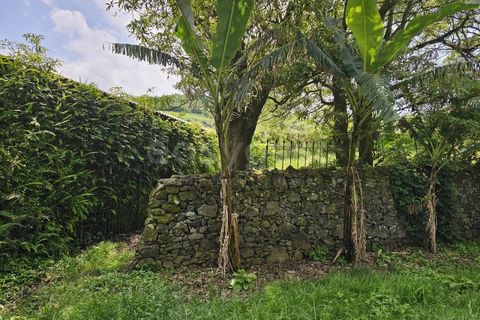 Terra a Rabo de Peixe, Sao Miguel, Rabo de Peixe - € 75.000 | Ref: AZ97493FR - foto 13
