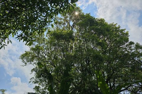 Terra a Rabo de Peixe, Sao Miguel, Rabo de Peixe - € 75.000 | Ref: AZ97493FR - foto 14
