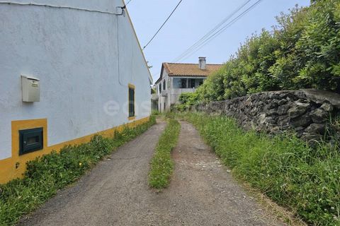 Terra a Rabo de Peixe, Sao Miguel, Rabo de Peixe - € 75.000 | Ref: AZ97493FR - foto 16