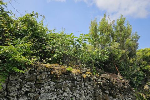 Terra a Rabo de Peixe, Sao Miguel, Rabo de Peixe - € 75.000 | Ref: AZ97493FR - foto 18