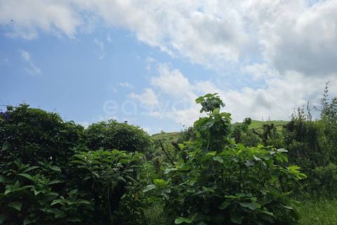 Terra a Rabo de Peixe, Sao Miguel, Rabo de Peixe - € 75.000 | Ref: AZ97493FR - foto 19