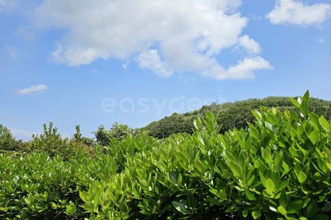 Terra a Rabo de Peixe, Sao Miguel, Rabo de Peixe - € 75.000 | Ref: AZ97493FR - foto 23