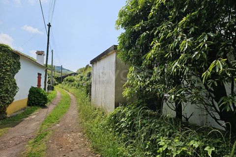 Terra a Rabo de Peixe, Sao Miguel, Rabo de Peixe - € 75.000 | Ref: AZ97493FR - foto 24