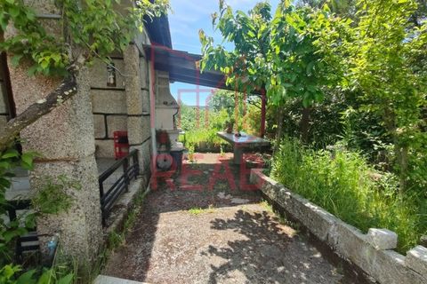Villa i Aguiar da Beira, Guarda, Aguiar da Beira - € 380.000 | Ref: 219/2025 - foto 5