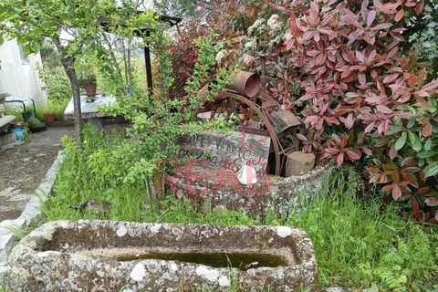 Villa i Aguiar da Beira, Guarda, Aguiar da Beira - € 380.000 | Ref: 219/2025 - foto 23