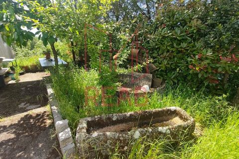 Villa i Aguiar da Beira, Guarda, Aguiar da Beira - € 380.000 | Ref: 219/2025 - foto 24