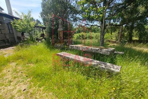 Villa i Aguiar da Beira, Guarda, Aguiar da Beira - € 380.000 | Ref: 219/2025 - foto 27