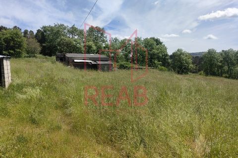 Villa i Aguiar da Beira, Guarda, Aguiar da Beira - € 380.000 | Ref: 219/2025 - foto 32