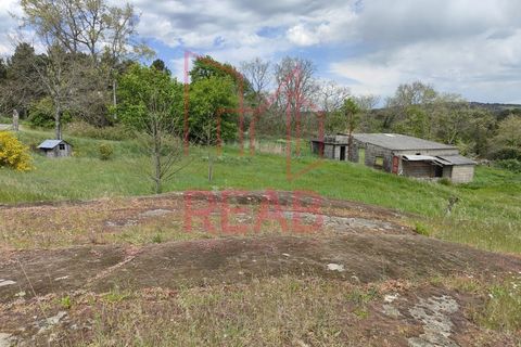 Villa i Aguiar da Beira, Guarda, Aguiar da Beira - € 380.000 | Ref: 219/2025 - foto 36