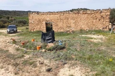 Tomt i Fabara, Zaragoza, Fabara - € 38 000 | Ref: es5554667 - foto 6