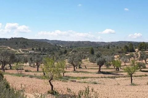 Tomt i Fabara, Zaragoza, Fabara - € 38 000 | Ref: es5554667 - foto 8