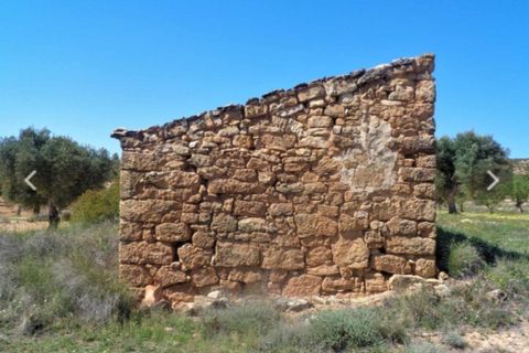 Tomt i Fabara, Zaragoza, Fabara - € 38 000 | Ref: es5554667 - foto 15