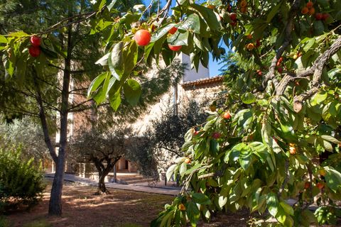 Villa - Soller, Mallorca, Soller - € 2 999 000 | Réf : 81854 - photo 15