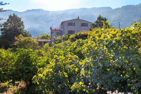 Villa - Soller, Mallorca, Soller - € 2 999 000 | Réf : 81854 - photo 17