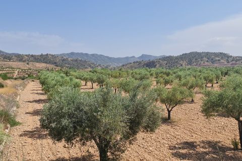 Tomt i Abanilla, Murcia, Abanilla - € 47 995 | Ref: 61110 - foto 3