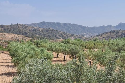 Tomt i Abanilla, Murcia, Abanilla - € 47 995 | Ref: 61110 - foto 4