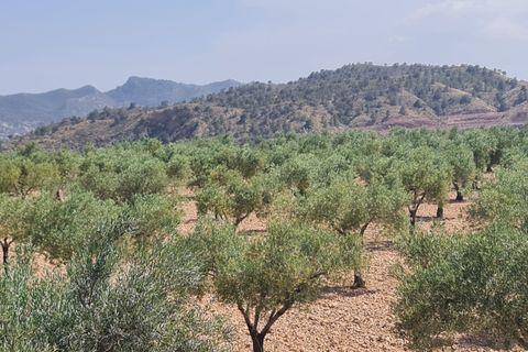 Tomt i Abanilla, Murcia, Abanilla - € 47 995 | Ref: 61110 - foto 5