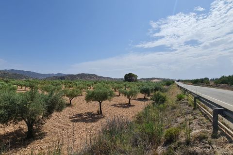 Tomt i Abanilla, Murcia, Abanilla - € 47 995 | Ref: 61110 - foto 6