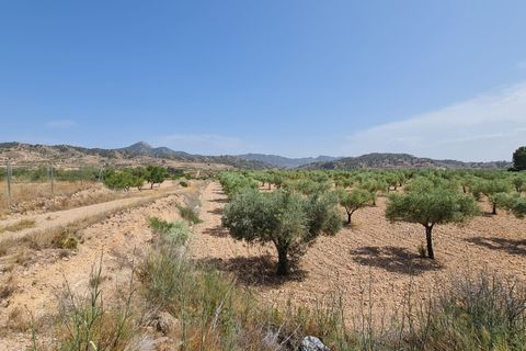 Tomt i Abanilla, Murcia, Abanilla - € 47 995 | Ref: 61110 - foto 7
