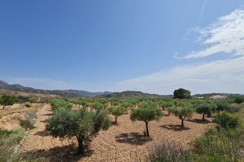 Tomt i Abanilla, Murcia, Abanilla - € 47 995 | Ref: 61110 - foto 8