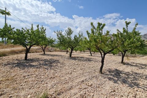 Helårsgrund i Abanilla, Murcia, Abanilla - € 41.995 | Ref: 61111 - foto 10