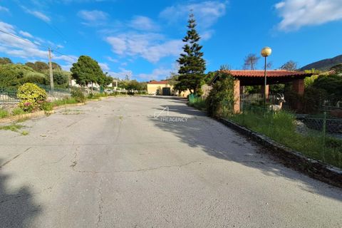Gårdshus i Minde, Santarem, Minde - € 1 850 000 | Ref: TAPT01-1388_IS_SAC - foto 27