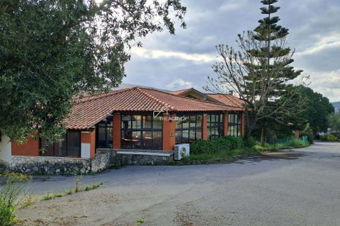 Gårdshus i Minde, Santarem, Minde - € 1 850 000 | Ref: TAPT01-1388_IS_SAC - foto 28