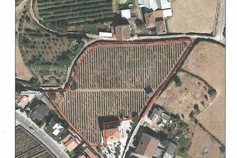 Byhus i Vila Real, Vila Real, Vila Real - € 550.000 | Ref: 118853 - foto 29