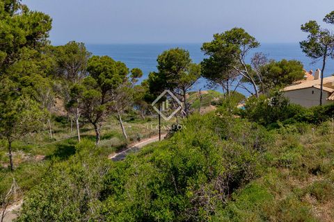 Helårsgrund i Begur, Gerona, Begur - € 580.000 | Ref: CBR60119 - foto 10