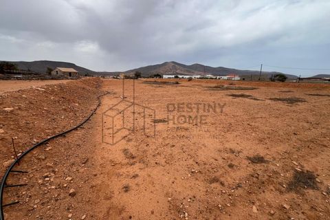 Helårsgrund i Triquivijate, Fuerteventura, Triquivijate - € 125.000 | Ref: #SMPVPTTRIQ0625 - foto 13